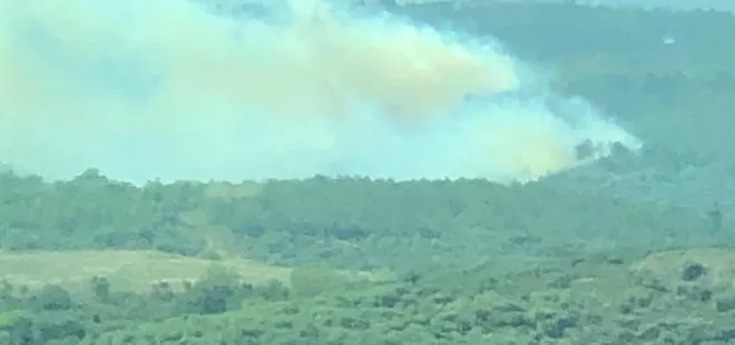 İstanbul Sultangazi’de orman yangını! Kaçan iki kişi kamerada