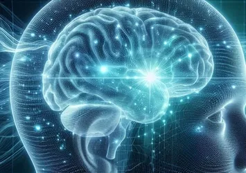 Yeni araştırma: Anılar sadece beyinde saklanmıyor