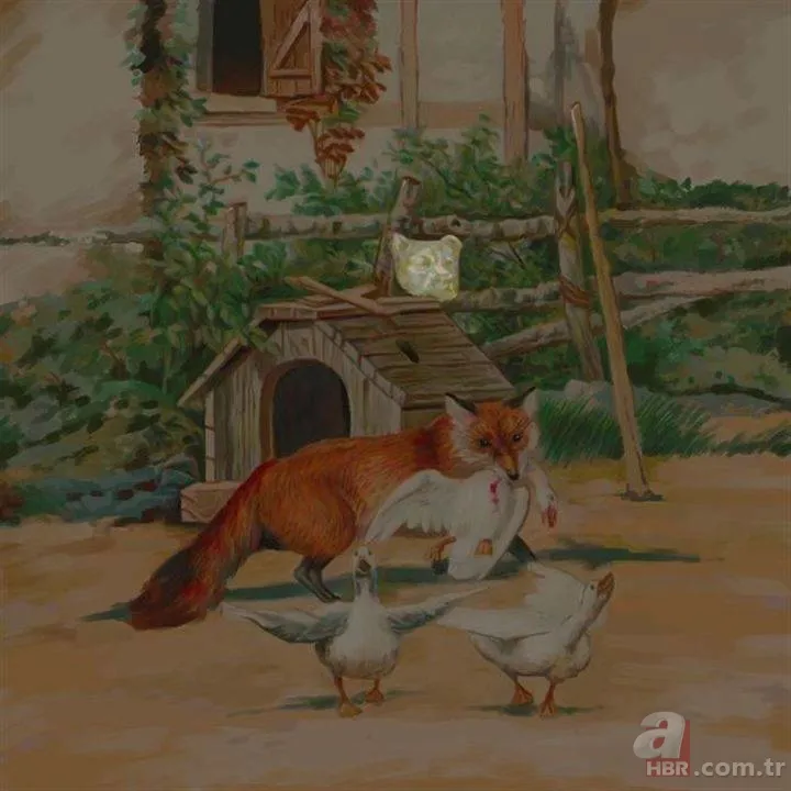 Sosyal medyayı sallayan soru! Cevabını çok az kişi biliyor 20