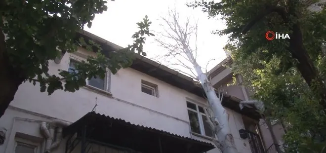 İstanbul Maltepe’de şiddetli rüzgarda devrilen ağaç evin çatısına düştü