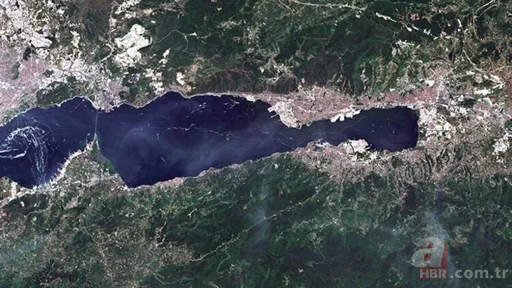Türkiye'de bir ilk: İşte Marmara Denizi'ndeki müsilajın yoğunluk haritası! Tablo çok vahim