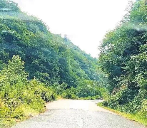 CHP 28 Mayıs'ta neden hezimete uğradı? Gazeteci ve yazar Sadık Albayrak'tan dikkat çeken tespit: CHP'nin kaderi bu - 4