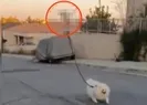 Koronavirüs bunu da yaptırdı! Köpeğini gezdirmek isteyince...