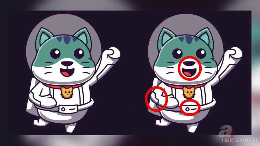 Kedinizin Fotoğraflarında Gizlenen 3 Farkı 10 Saniyede Bulabilir misiniz? 3