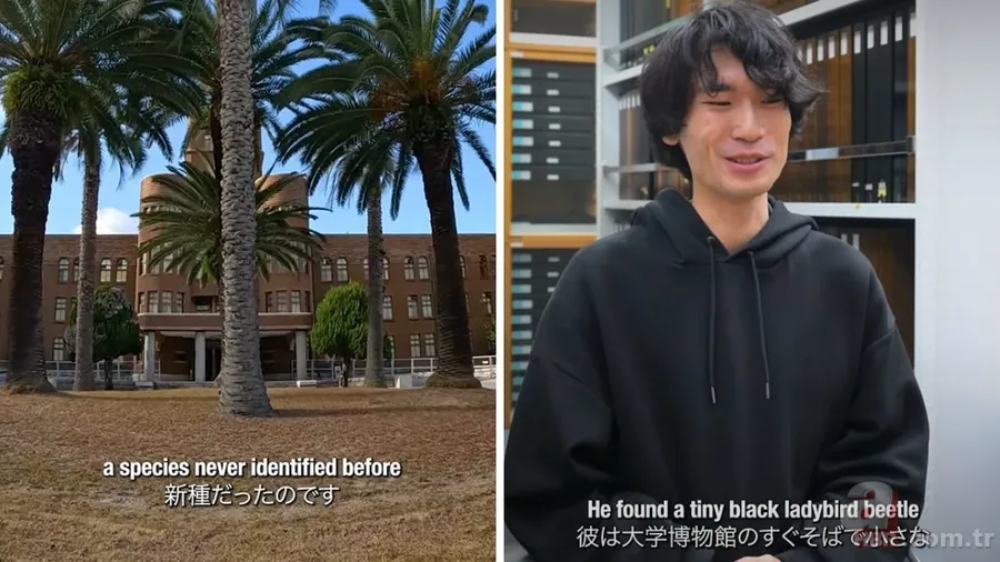 Her gün yanından geçtiler, göremediler! Üniversite bahçesinde yeni tür: Siyah uğur böceği 4