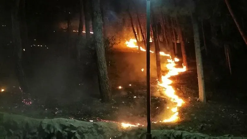 Adana Kozan Da Orman Yangini