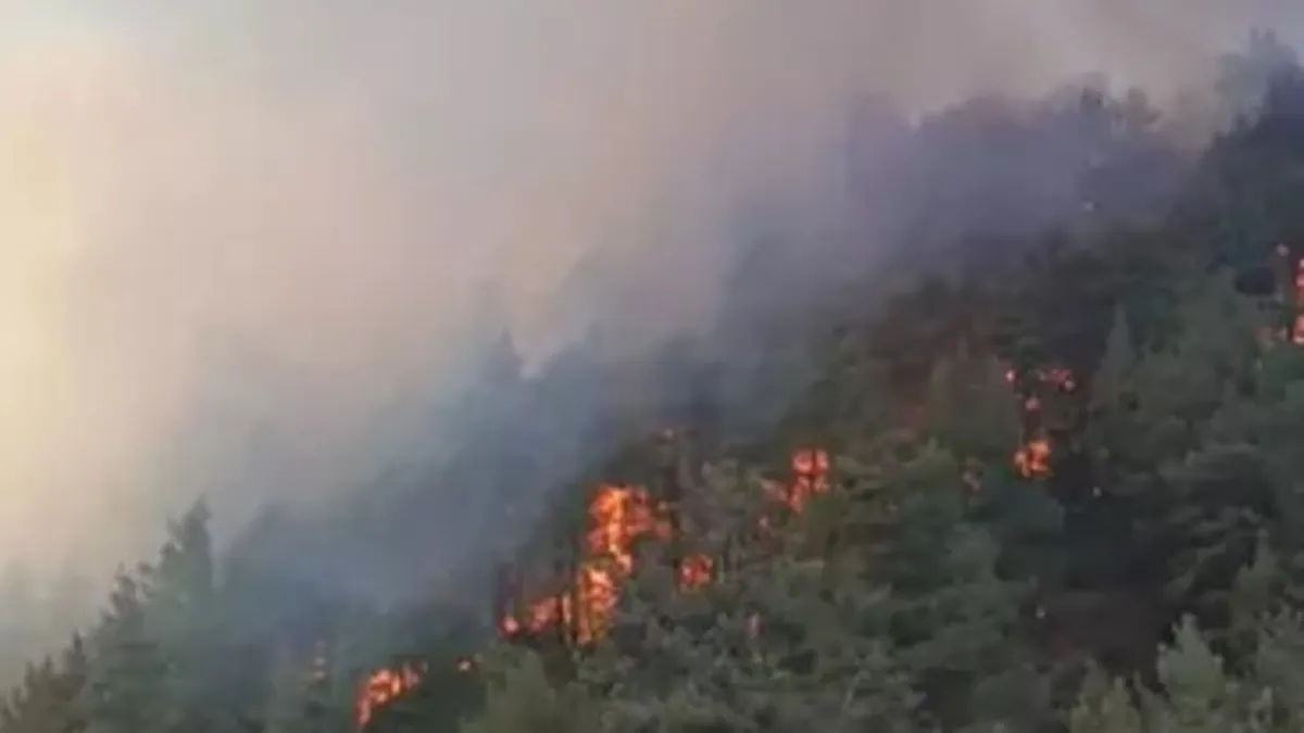 Denizli'deki yangında 7 hektar alan zarar gördü