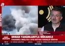 107 tane orman yangınıyla ilgili son durum ne?