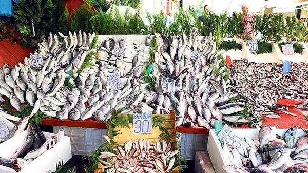 kar-ve-firtina-balik-tezgahlarini-vurdu-fiyatlar-bir-anda-artti-1613489735348.jpg Kar ve fırtına balık tezgahlarını vurdu: Fiyatlar bir anda arttı - 10