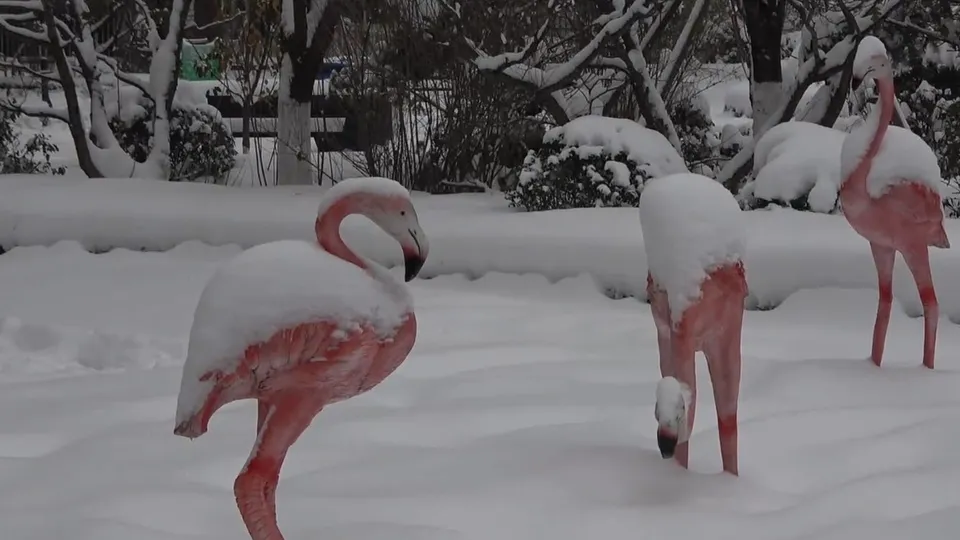 Sokaklar beyaz örtüyle kaplandı! Kar fırtınasında rekor yağış