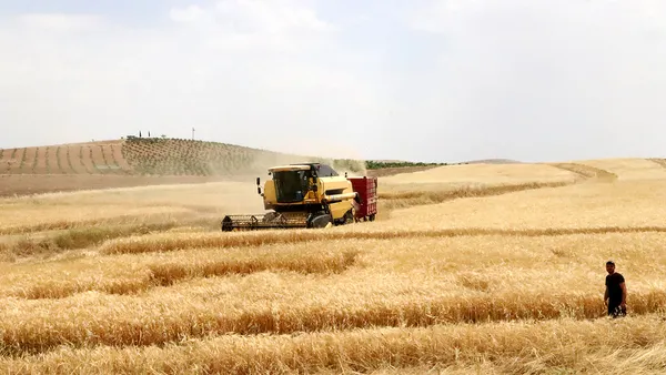Türkiye'nin tahıl ambarında bu yıl hasat 2,2 milyon ton oldu - 4