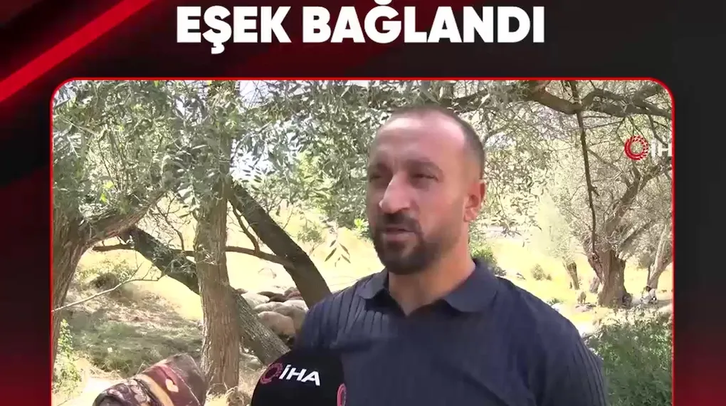 BU KEZ ARAÇ DEĞİL EŞEK BAĞLANDI
