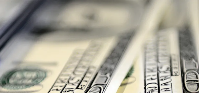 Dolar 3,90'ın üzerini gördü