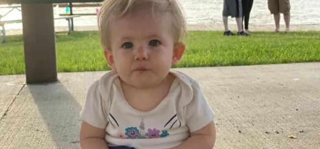 ABD'de pitbull dehşeti: 17 aylık bebeği parçaladı - 4