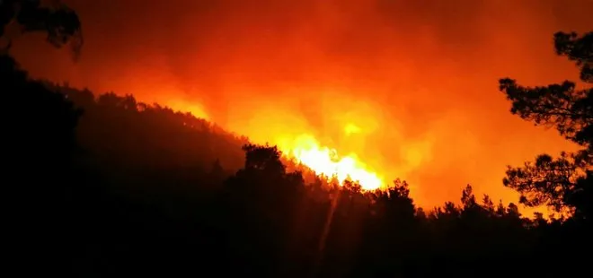 Muğla’da orman yangını! A Haber ekipleri olay yerinde! Bakanlıktan son dakika açıklaması