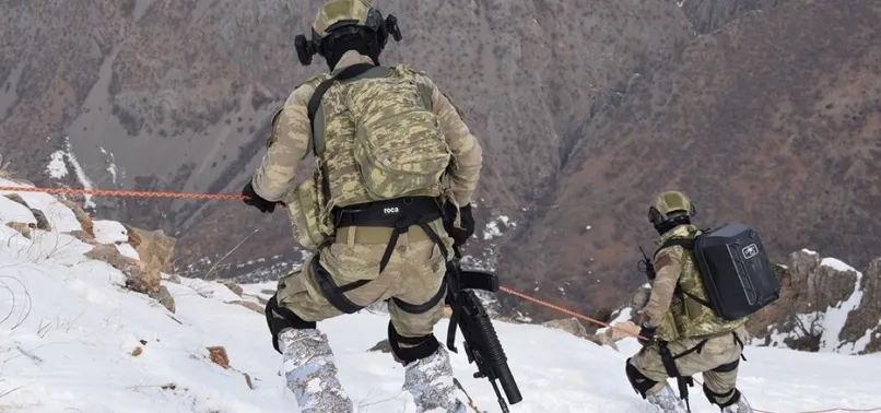 Terör örgütü PKK'ya şubat ayında da ağır darbe
