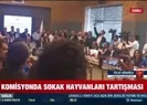 Komisyonda sokak hayvanları tartışması