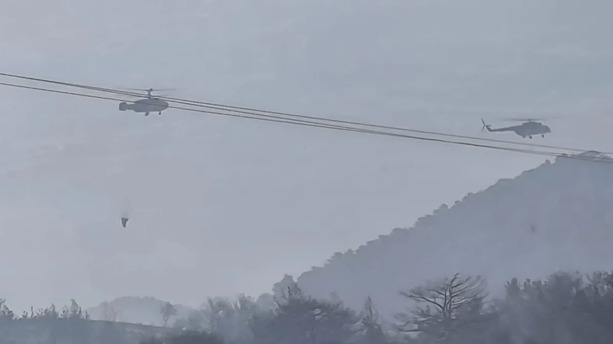 Denizli'de çıkan orman yangınına müdahale sürüyor