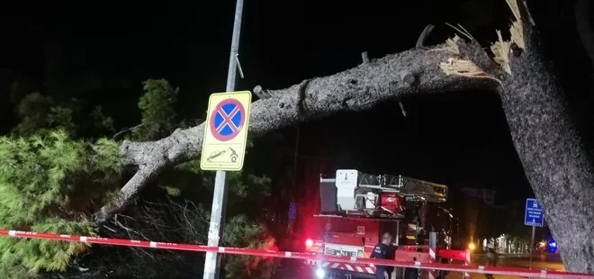 İzmir’de çam ağacı devrildi tramvay seferleri durdu