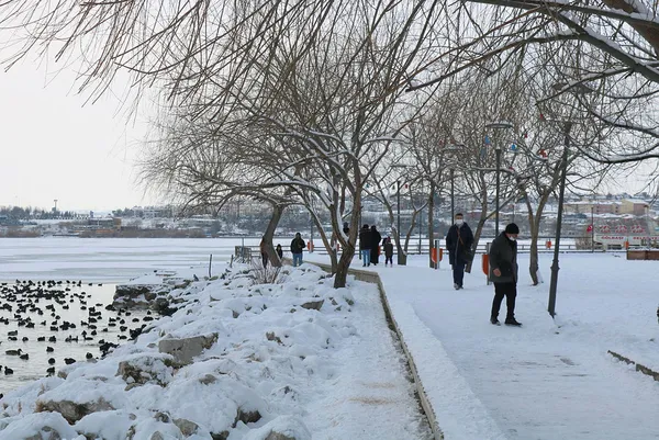 turkiye-kar-altinda-yollar-kapandi-ulasim-aksadi-ekipler-alarma-gecti-1643034501377.jpg Türkiye kar altında! Yollar kapandı ulaşım aksadı! Ekipler alarmda A Haber sahada... - 12
