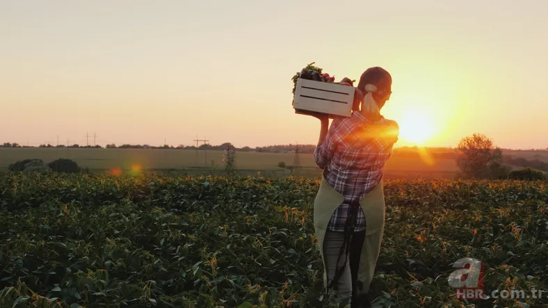 5 yildir bunu yapana devletten geri odeme 2 500 tl iade hesabiniza yatacak hemen kontrol edin 5 yildir bunu yapana devletten geri odeme 2 500 tl iade hesabiniza yatacak hemen kontrol edin