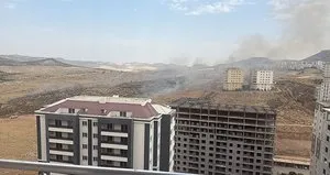 Mardin’de örtü yangını söndürüldü