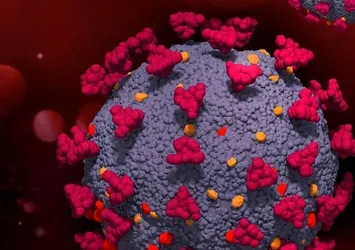 Kanser tedavisinde umut veren gelişme!