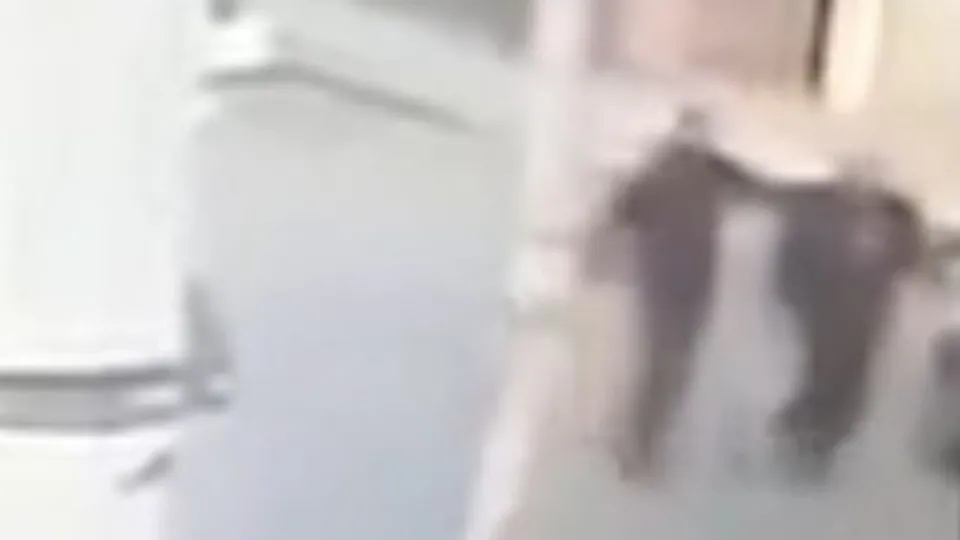 Diyarbakır’da vahşet! Takip ettiği şahsı sokak ortasında öldürdü!  O anlar kameraya böyle yansıdı