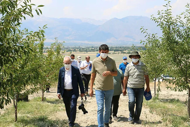 Erzincan’dan 95 ülkeye vişne ihracatı - 2