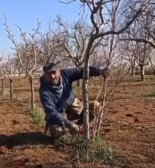 Bir çiftçiden 7’li koalisyonu anlatan en net sözler! Bunları seçimde budayarak devleti rahatlatacağız