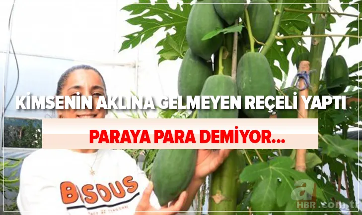 Kimsenin aklının ucundan geçmeyen reçel yaptı! Paraya para demiyor! İspanya'da gördü hayatı değişti... 1