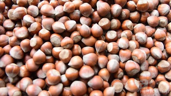 Fındık fiyatları son dakika: 7 Aralık Ordu, Giresun, Samsun, Trabzon güncel fındık alış-satış fiyatları ne kadar? 14