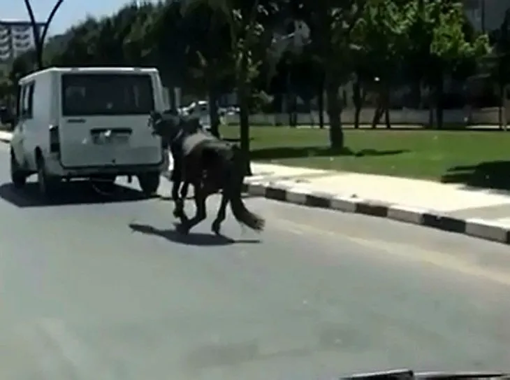 Manisa’da korkunç görüntü: Atı minibüse bağlayıp koşturdu