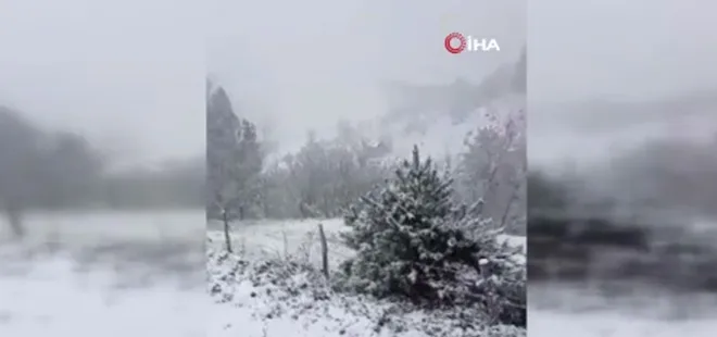 1715666854265.jpg Kastamonu'da mayıs ayında kar sürprizi! Her yer beyaza büründü - 1