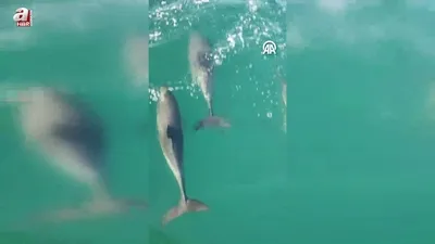 Balıkçı teknesine eşlik ettiler