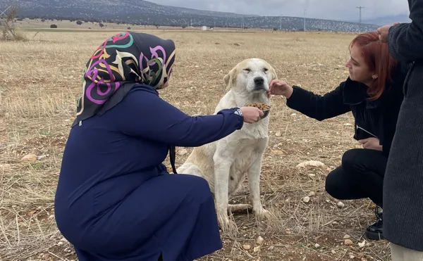 konyadaki-barinakta-2-skandal-kopeklerin-ardindan-bu-kez-de-kediler-ifadesi-cileden-cikartti-1669445128424.jpg Konya'daki barınakta 2. skandal! Köpeklerin ardından bu kez de kediler! İfadesi çileden çıkarttı - 6