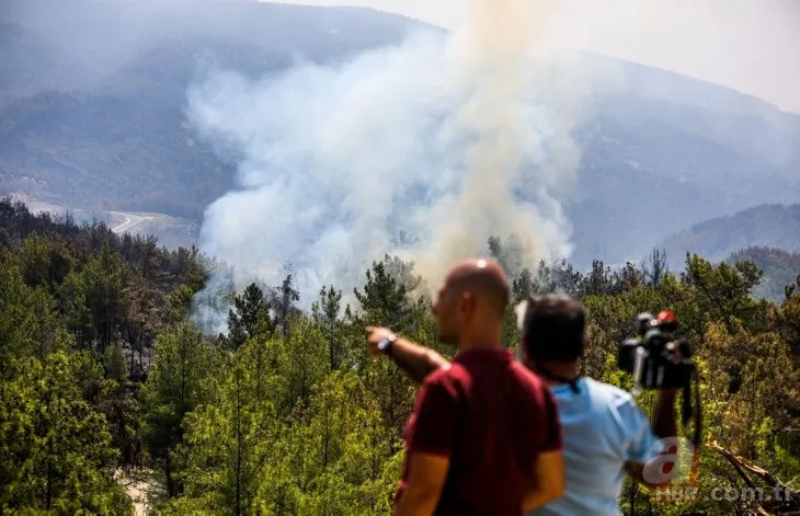 Yanan bölgelere hangi ağaç ekilmeli? Uzmanlar yanıtladı