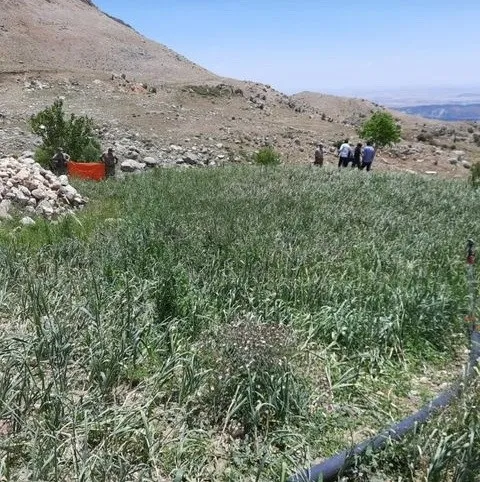 Kurduğu tüfekli tuzak ölümüne neden oldu - 3