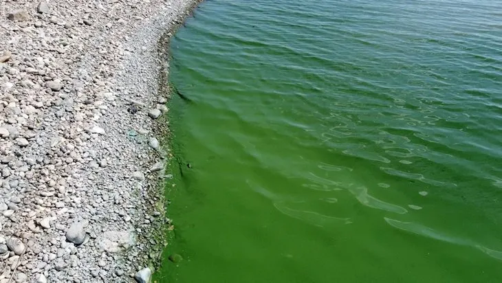 Atatürk Barajı’nda korkutan görüntüler! Suyun rengi değişti! İşte nedeni