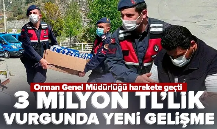 Muğla’daki 3 milyon TL’lik orman vurgununda yeni gelişme! Harekete geçildi
