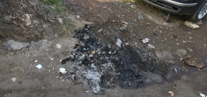 Zeytinburnu’nda vahşet! Tasmalı köpek yakılarak öldürüldü