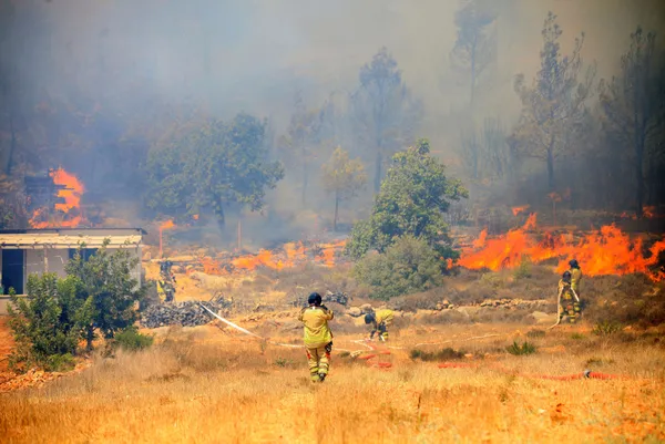 Bakanlık duyurdu: Bugün çıkan 22 orman yangınından 20’si söndürüldü! Mersin yangınına 11 uçak 29 helikopterle müdahale sürüyor