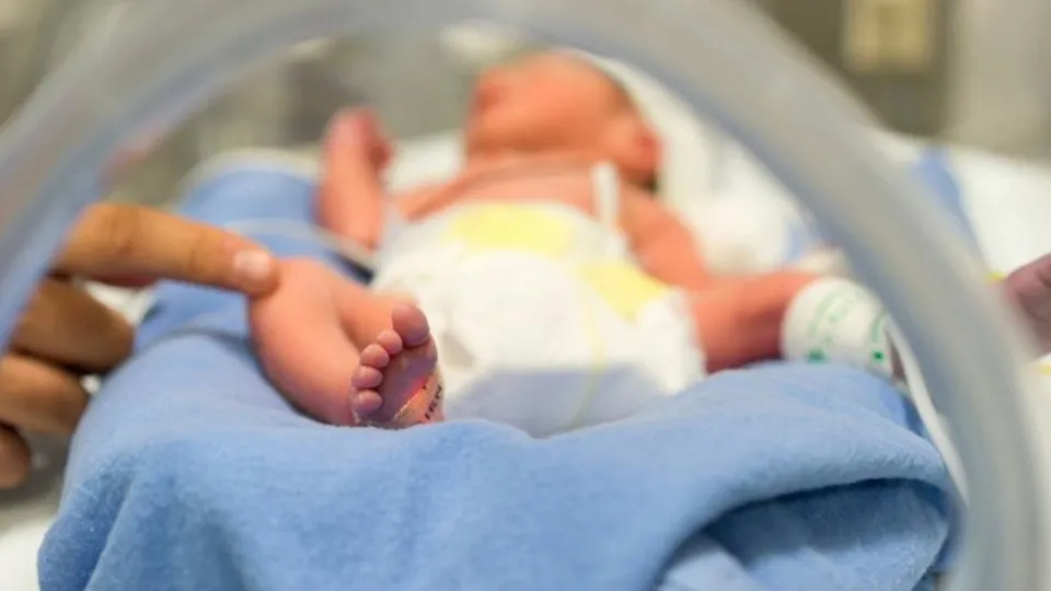 Bilim dünyasını şaşırtan ve heyecanlandıran olay! 12 santimetre kuyrukla doğdu