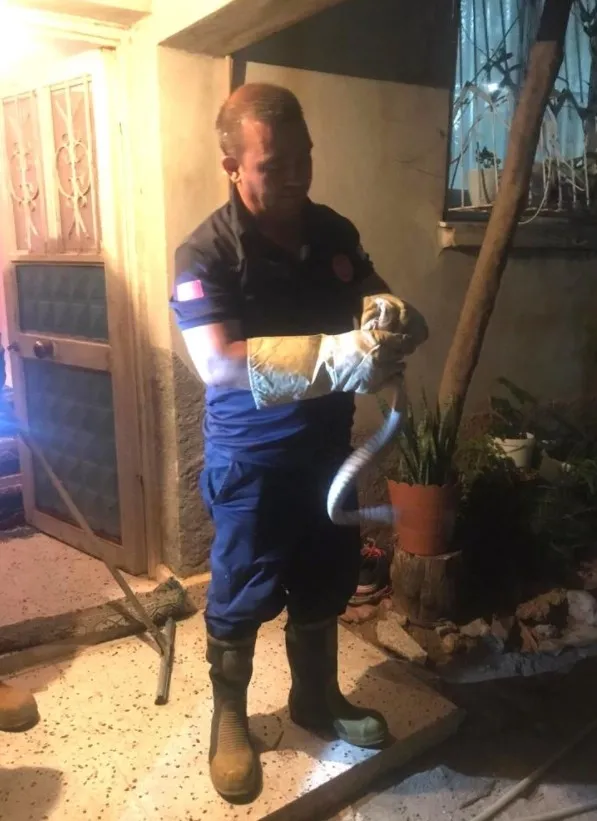 Adana'da eve giren yılanı itfaiye ekipleri yakaladı - 2