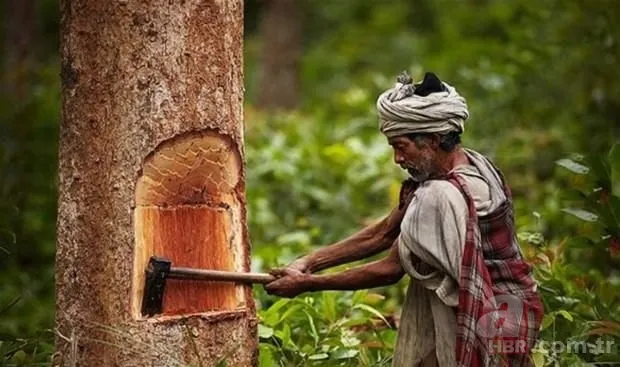 Yaklaşanı öldürüp etiyle besleniyorlar! Uçan cisimlere ok ve mızraklarla saldırdılar 🏹 İşte dünyanın en vahşi kabilesi 19