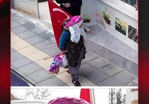 KOCA ÇINARIN BAYRAK SEVGİSİ
