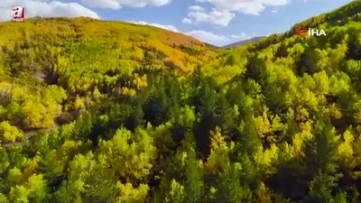 Gümüşhane renk cümbüşüne döndü