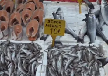 Tezgahlarda balık bereketi! Balık fiyatları ne durumda?
