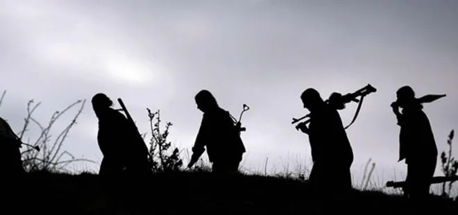Şırnak’ta 2 PKK’lı terörist öldürüldü