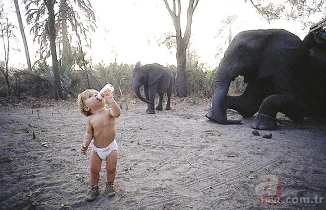 Leopar ve fillerle büyüyen kız çocuğuna bir de şimdi bakın!